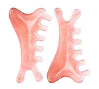 LOLIPPYY 2pcs Scalp Meridian Massage Comb Portable Dolphin Gua Sha Facial Massager Tool for Self Spa Presents Hair Scalp Massager Brush