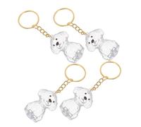 LOLIPPYY 4pcs Dog Hair Storage Keychain Lightweight Portable Pet Hair Keepsake Pendant Clear Capsule Visible Memory Ornament for Emotional Connection and Gift