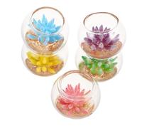 LOLIPPYY 5pcs Miniature Succulent Bonsai Pots Colorful Mini Plant Dollhouse Accessories for Micro Landscape Garden Decorations and Desk Ornaments