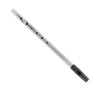 LOLIPPYY D Key Metal Soprano Recorder for Beginners, Silver Practice Recorder Instrument for Boys and Girls, Irish Style Whistle Flute for Music Learning