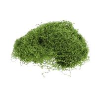 LOLIPPYY DIY Miniature Shrubs Vines for Model Railway Scenery Realistic Garden Accessories for Diorama Easy to Install Cotton Thread Vines for Indoor and Outdoor Decor Enhance Your