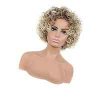 LOLIPPYY Fashion Women Short Afro Curly Wig Abba Dreadlock Lace Front High Temperature Fiber Hair Wig
