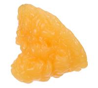 LOLIPPYY Fat Anatomy Model 1lb Realistic Human Fatty Tissue Demonstration Tool for Nutritionists Students Clinical Physiology Science Education and Fitness Display