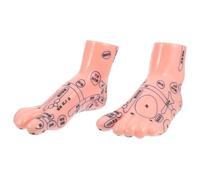 LOLIPPYY Foot Massage Model Teaching Display Tool Human Foot Reflexology Acupuncture Educational Aid for Students and Therapists