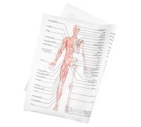 LOLIPPYY Human Anatomy Poster Font Bone Figure Muscular Skeletal Body Wall Chart Educational Teaching Tool for Classroom School Laboratory