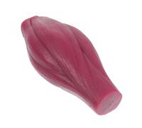 LOLIPPYY Human Body Muscle Model with Base Anatomical Muscle Display for Fitness Motivation Educational Tool for Students Teachers and Medical Training