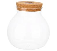 LOLIPPYY LED Ecological Glass Bottle with White LED Light Borosilicate Micro Landscape DIY Terrarium Jar for Home Decor Miniature Fish Tank for Bedroom and Living Decoration