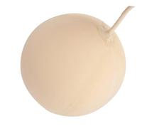 LOLIPPYY Natural Rubber Gas Sampling Bladder Balloon for Lab Use Medium Non Cracking Indoor Gas Collection Tool with High Suction and Precision Manufacturing for Accurate Experiments and
