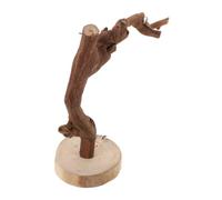 LOLIPPYY Natural Wooden Parakeet Perch Stand Bird Training Interactive Chewing Branch for Parrots Cockatiels Budgies with Stable Base Tabletop Bird Playstand