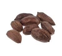 LOLIPPYY Parrot Foraging Toy and Chewing Accessories Natural Dried Fruit Treats 8pcs Set Healthy Bird Chew Toy for Budgie Parakeet Cage Enrichment