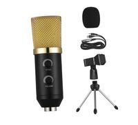 LOLIPPYY Professional Golden Condenser Microphone Standard Screw Adapter with Reverberation Echo Function, Plastic and Metal Material with 3.5mm for Radio Broadcasting and Recording