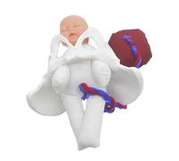 LOLIPPYY Realistic Pregnancy Pelvis Model with Fetus Umbilical Cord Placenta Anatomical Childbirth Simulator for Midwifery Training Female Health Education Aid and Easy to Clean Teaching