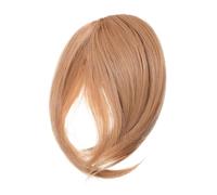 LOLIPPYY Thick Bang Hairpiece for Women Fringe Hair Extension Natural Style Fake Bangs Suitable for All Face Shapes Party Hair Accessory