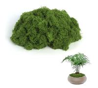 Lollanda Fake Moss Artificial 100g, Decorative Faux Moss for Crafts, Bulk Dark Green Moss for Terrarium Decoration Garden Potted Plant (Dark Green)