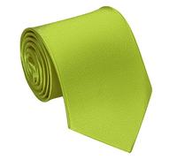 Lollanda Men's Green Ties for Wedding Business Ties for Men Silk Tie Solid Color Neckties (Green)