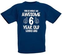 loltops This is What an Awesome 6 Year Old Looks Like, 6th Birthday Gift T-Shirt for 6 Year Old Boys & Girls (UK, Age, 5 Years, 6 Years, Regular, Navy)