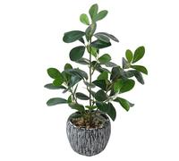 LOMOHOO Artificial Plants in Pots, Greenery Fake Plant Potted with Rustic Black Clay Planter, Faux Plants for Indoors Bathroom Bedroom Kitchen Office Table Desk Decor