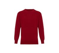 Lona Scott Mens Cashmere Jumper, Crew Neck, Wine XXL