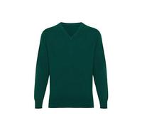 Lona Scott Men's Cashmere V Neck Jumper Green X-Large