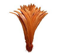 LONDGEN 20 PCS 14-16 inch Natural Rooster CoqueTail Feathers for Stage Performance and Costume Decoration, Halloween Carnival (Orange)