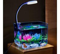 London Boutique 13X13X15Cm Desktop Aquarium Tank With Clamp Light, Square Fish Tank Starter Kit, For Home Office