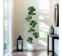 London Boutique 6Ft 180Cm Artificial Fiddle Leaf Fig Tree With White Pot & Moss
