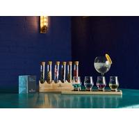London Gin tasting and Masterclass