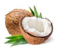 London Grocery Fresh Coconut 4 Pack