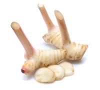 London Grocery Fresh Galangal Root 1kg - Authentic Thai Galangal for Asian Cooking, Curry Pastes & Herbal Teas - Ideal for Soups, Stir-Fries & Natural Remedies