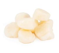 London Grocery Fresh Scallops 500g - Natural and Raw Scallops for Cooking - Ideal for Pasta, Risotto, and Grilled Dishes - Fresh Seafood for Home Cooking