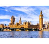 London in a Day: London Eye St. Pauls Tower of London & Cruise