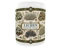 london mug factory Lichen Growth Forms Mug - Natural History Gift | Lichen Growth Forms