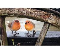London Ornaments Set of 2 Robins (Set of 2 Robins A)