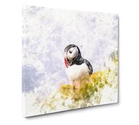 Lone Atlantic Puffin Watercolour Canvas Wall Art Print 20x20 Inch