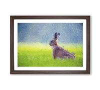 Lone Hare Framed Print | A2 Walnut Framed Wall Art | Ready to Hang | Modern Animal Picture | Living Room Bedroom Lounge Office