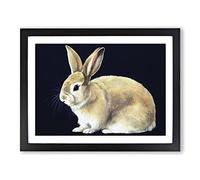Lone Rabbit Framed Print | A2 Black Framed Wall Art | Ready to Hang | Modern Animal Picture | Living Room Bedroom Lounge Office