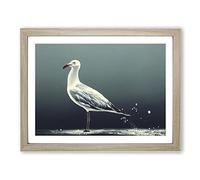 Lone Seagull Framed Print | A4 Oak Framed Wall Art | Ready to Hang | Modern Animal Picture | Living Room Bedroom Lounge Office