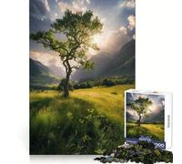 Lone Tree at Dawn Teenagers 1000 Piece Jigsaw Puzzle Brain Gain Bright Detail Family Game Art Display (38x26cm)