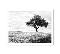 Lone Tree Wheat Field Black White Large Framed Art Print Poster Wall Decor 18x24 inch