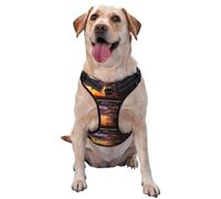Lonely Bench Sunset Pet Traction Vest – Full Print Design With Reflective Straps For Enhanced Safety And Comfort
