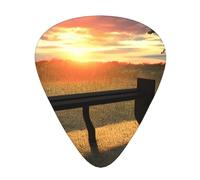 Lonely Bench Sunset Print12 Professional Guitar Tuner For Guitar, Bass, & Chromatic Tuning Modes
