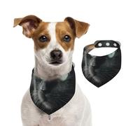 Lonely Black Cat Double Sided Dog Bandanas - Cotton Reversible Pet Scarf for Small Large Dogs - Unique Print Puppy Accessories