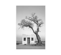 Lonely Desert House And Tree, California Photography, Desert Poster, Desert Print, Lonely Print, Arizona Wall Art, Cottage Wall Art, Nevada Canvas Poster Bedroom Decor Landscape Office Room Decor Gift