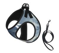 Lonely Fox Dog Harness - Breathable, Reflective, And Adjustable Pet Vest, Suitable For Small Cats And Dogs