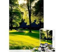 Lonely Is The Bench 1000 Piece Jigsaws for Adults Puzzle Stimulate Active Brain And Mind Gentle Relaxing Fun Activity (50x75cm)