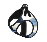 Lonely Polar Bear Dog Harness - Breathable, Reflective, And Adjustable Pet Vest, Suitable For Small Cats And Dogs
