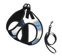 Lonely Polar Bear Dog Harness - Breathable, Reflective, And Adjustable Pet Vest, Suitable For Small Cats And Dogs