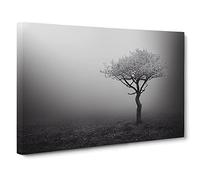 Lonely Tree Canvas Wall Art Print 30x20 Inch