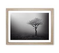 Lonely Tree Framed Wall Art Print A2 Oak