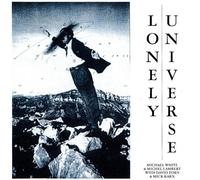 Lonely Universe